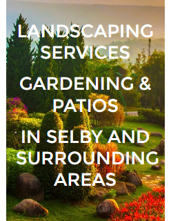 Web Page for gardener